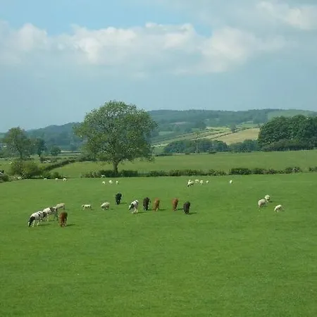 Burrow Meadows *